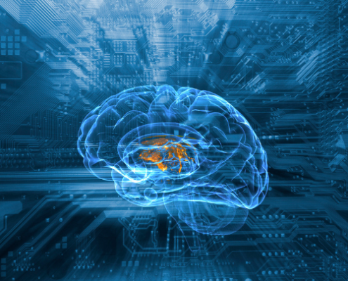 articulo emcc spain gemma neuroagilidad